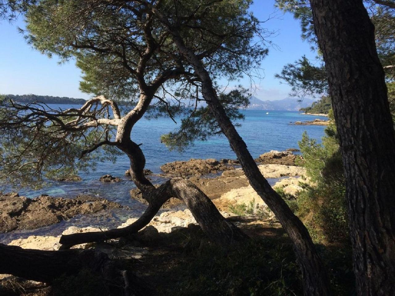Cannes Design Vue Mer Экстерьер фото